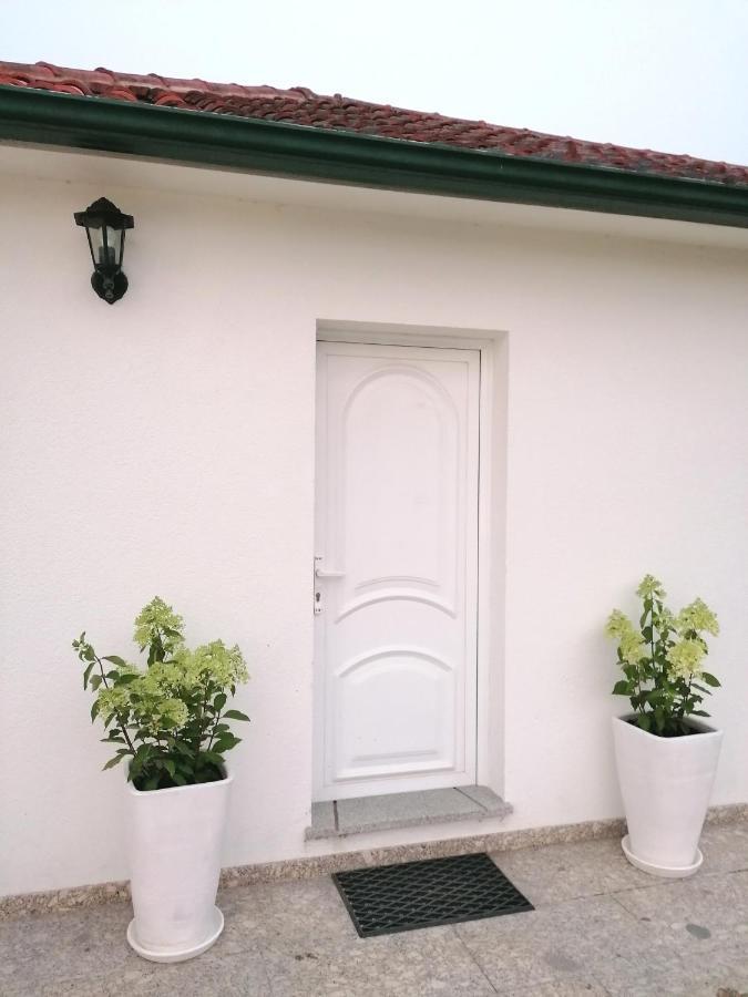 Casa Das Castanheiras Vieira do Minho Extérieur photo
